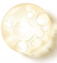 Orchidee Imperiale L’Huile Fondamental 30ml